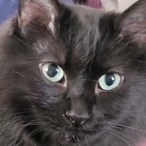 Meet your Posher, Katrina